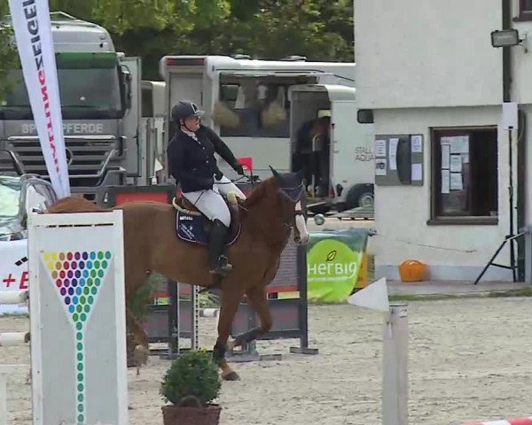 Maingau Classics in Grafenrheinfeld 2021
