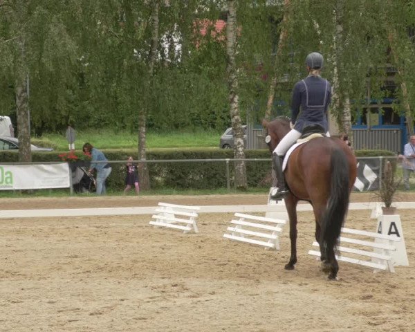 Dressurturnier Königsbach 2021