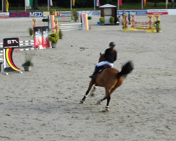 Reitturnier Westergellersen 2021
