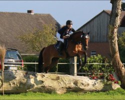 dressage horse Cisco Sugar Chex (German Riding Pony, 2008, from FS Chicago)
