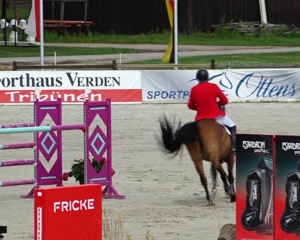 Reitturnier Westergellersen 2021