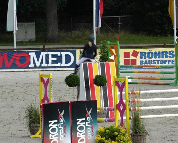 Reitturnier Westergellersen 2021