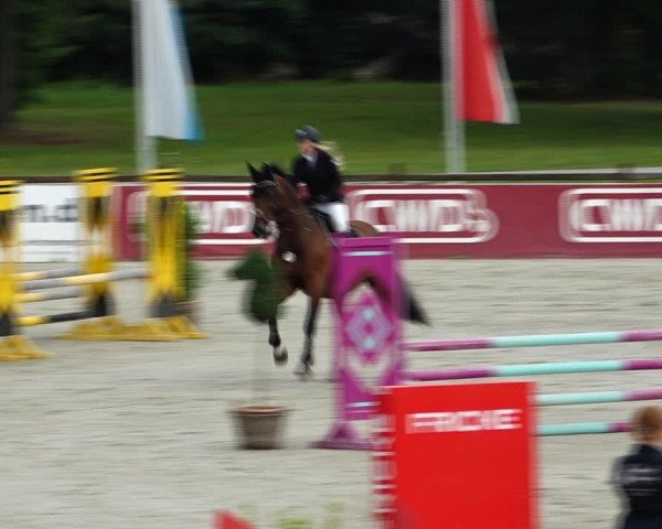 Reitturnier Westergellersen 2021