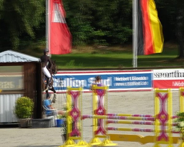 Reitturnier Westergellersen 2021