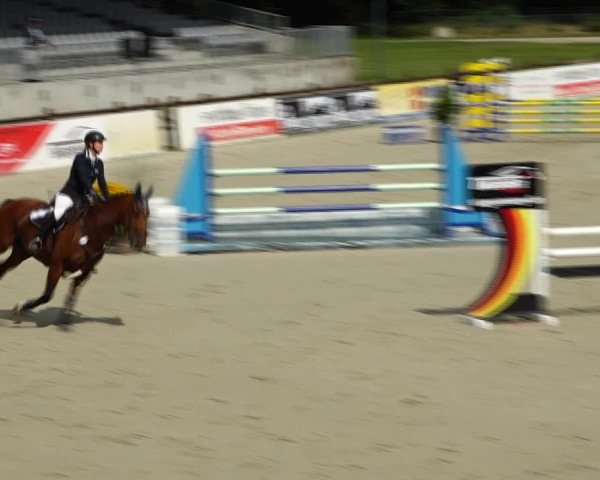 Reitturnier Westergellersen 2021