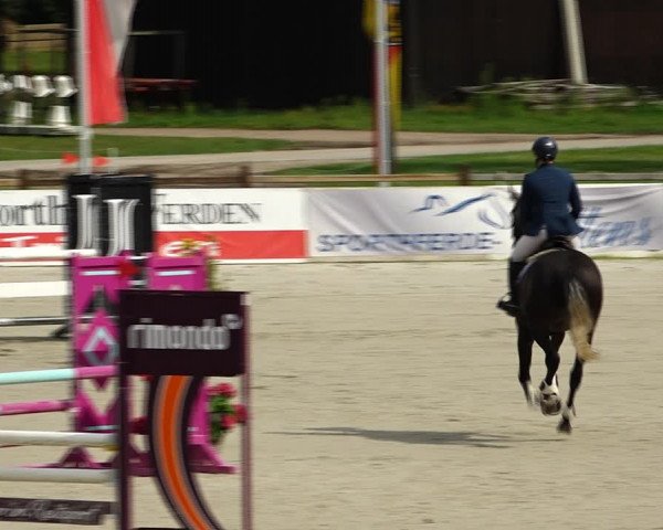 Reitturnier Westergellersen 2021
