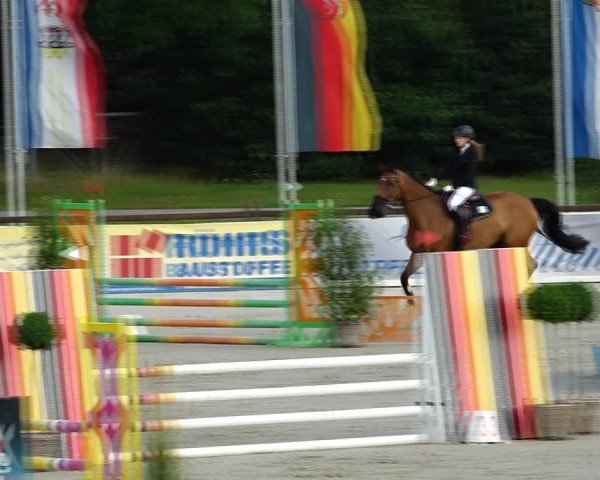 Reitturnier Westergellersen 2021