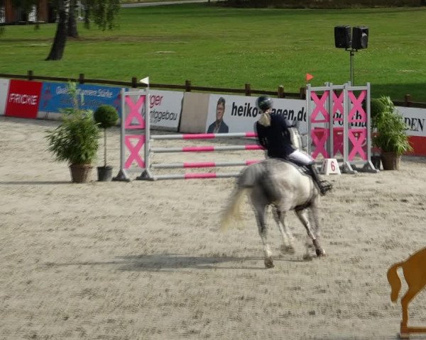 Reitturnier Westergellersen 2021