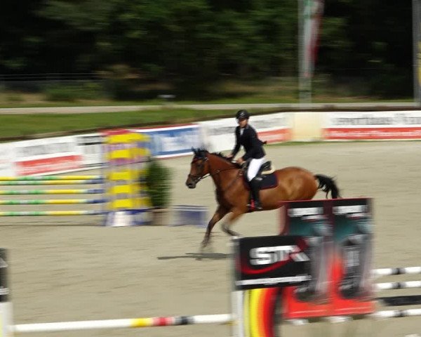 Reitturnier Westergellersen 2021