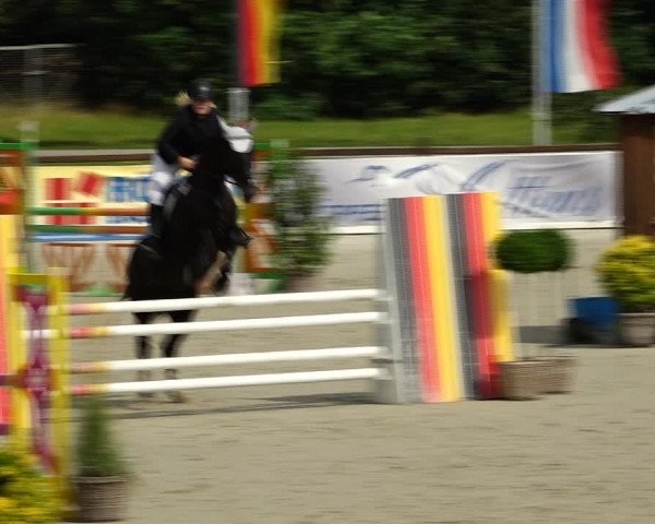 Reitturnier Westergellersen 2021