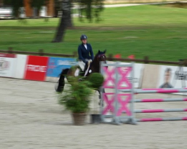 Reitturnier Westergellersen 2021