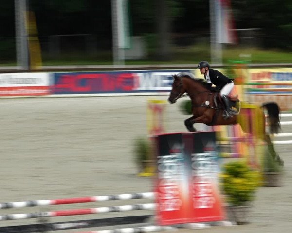 Reitturnier Westergellersen 2021