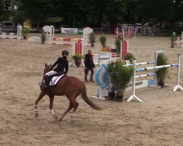 Reitturnier Iserlohn-Kalthof 2021