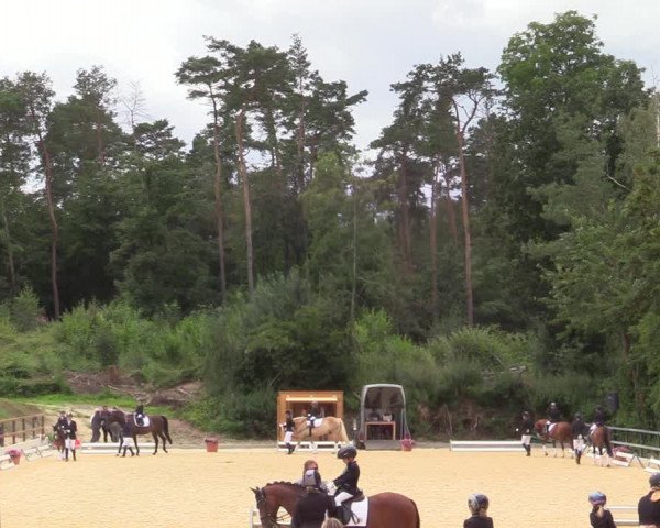 Reitturnier Iserlohn-Kalthof 2021