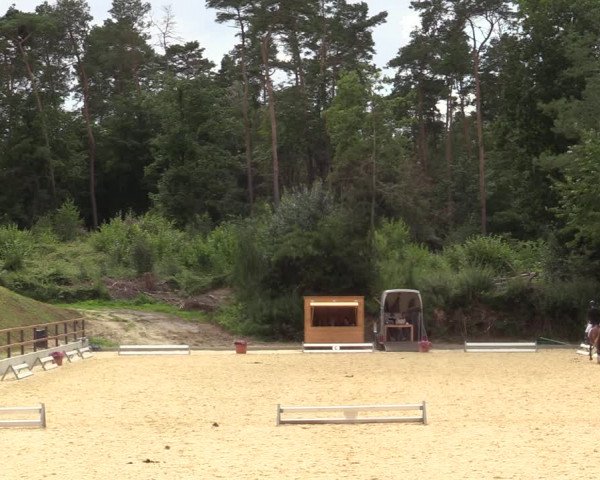 Reitturnier Iserlohn-Kalthof 2021