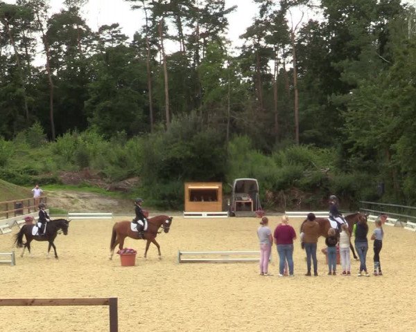 Reitturnier Iserlohn-Kalthof 2021