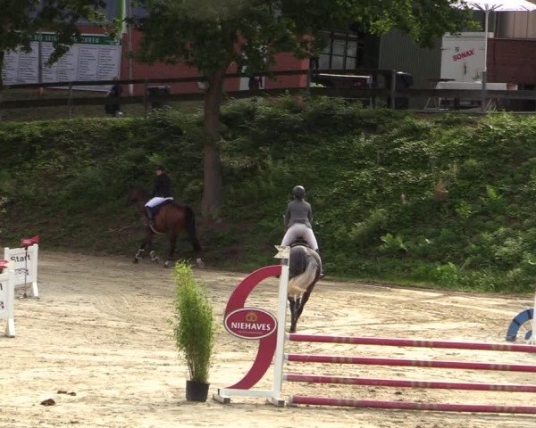 Reitturnier Iserlohn-Kalthof 2021