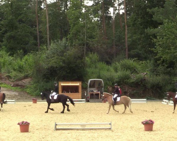 Reitturnier Iserlohn-Kalthof 2021
