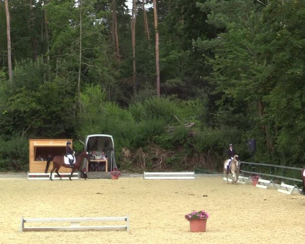 Reitturnier Iserlohn-Kalthof 2021