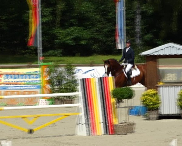 Reitturnier Westergellersen 2021