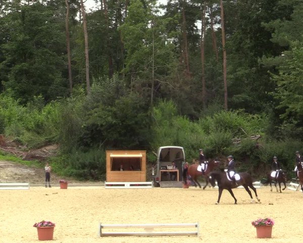 Reitturnier Iserlohn-Kalthof 2021