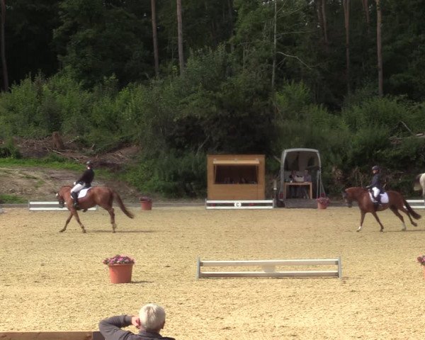 Reitturnier Iserlohn-Kalthof 2021