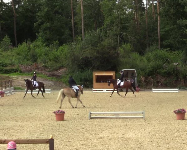 Reitturnier Iserlohn-Kalthof 2021