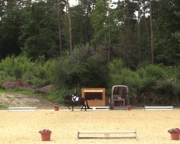 Reitturnier Iserlohn-Kalthof 2021