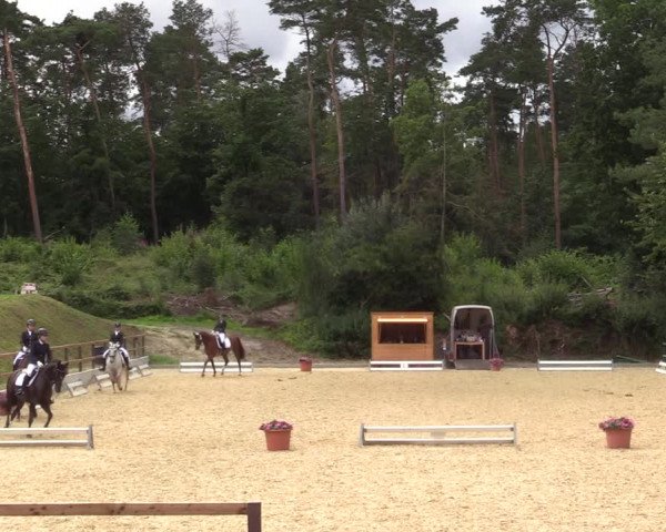 Reitturnier Iserlohn-Kalthof 2021