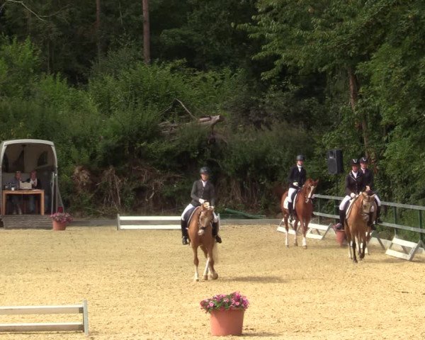 Reitturnier Iserlohn-Kalthof 2021