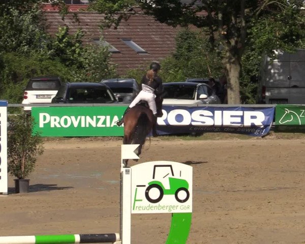 Reitturnier Iserlohn-Kalthof 2021