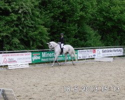 dressage horse Elita 10 (Hanoverian, 2002, from Embassy I)