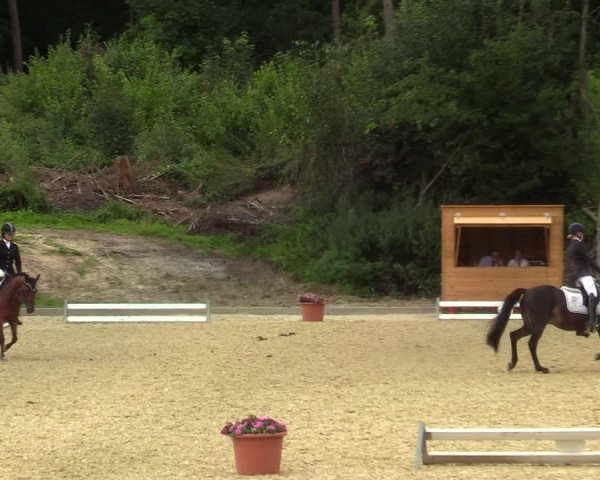 Reitturnier Iserlohn-Kalthof 2021