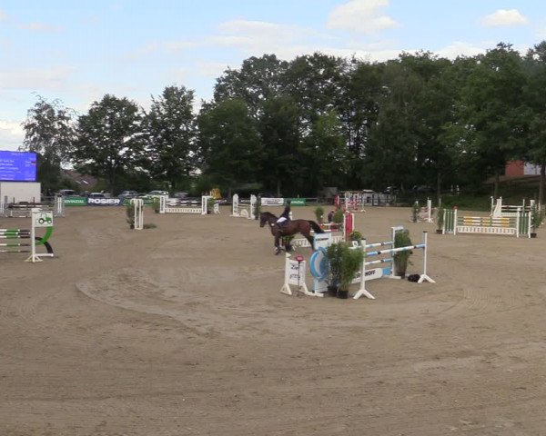 Reitturnier Iserlohn-Kalthof 2021