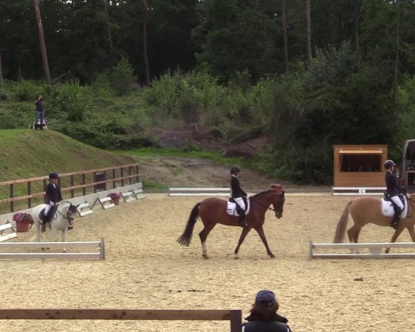 Reitturnier Iserlohn-Kalthof 2021