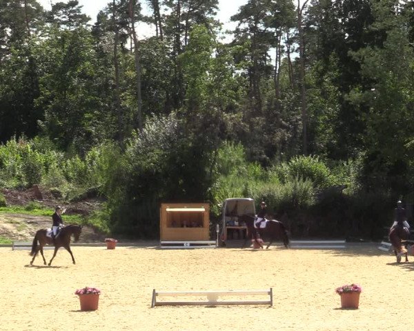 Reitturnier Iserlohn-Kalthof 2021