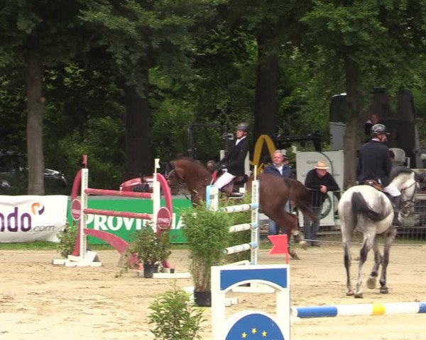 Reitturnier Iserlohn-Kalthof 2021