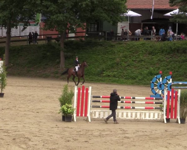 Reitturnier Iserlohn-Kalthof 2021