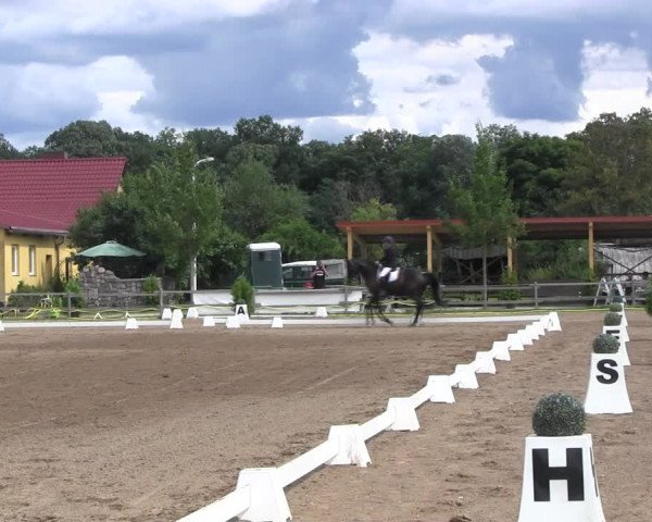 Reitturnier Altlandsberg 2021