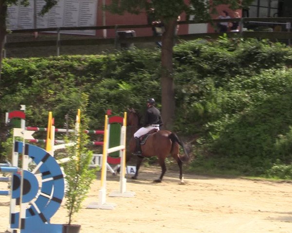 Reitturnier Iserlohn-Kalthof 2021
