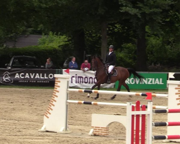Reitturnier Iserlohn-Kalthof 2021