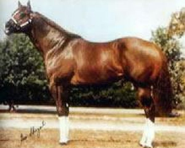 stallion Pretty Impressive (Quarter Horse, 1975, from Impressive)
