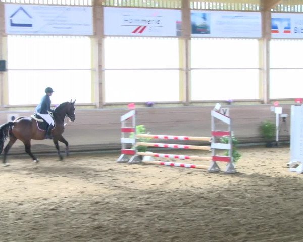 Reitturnier Biberach/Riß 2021