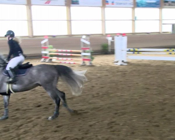 Reitturnier Biberach/Riß 2021