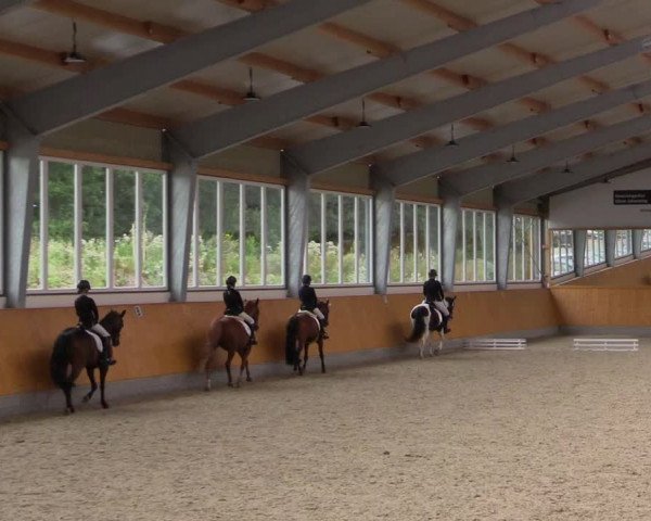 Reitturnier Münster-Amelsbüren 2021