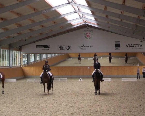 Reitturnier Münster-Amelsbüren 2021