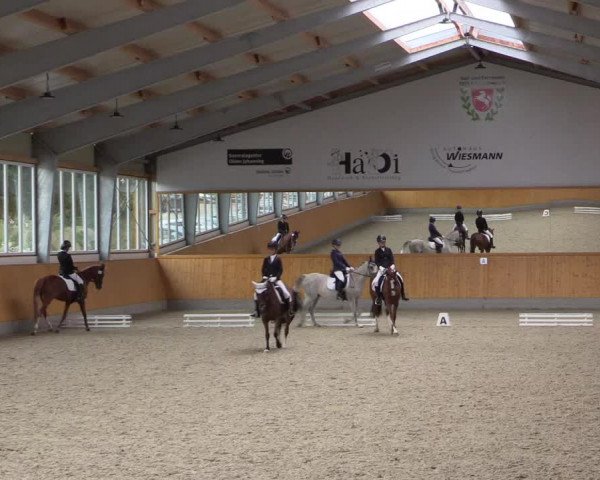 Reitturnier Münster-Amelsbüren 2021