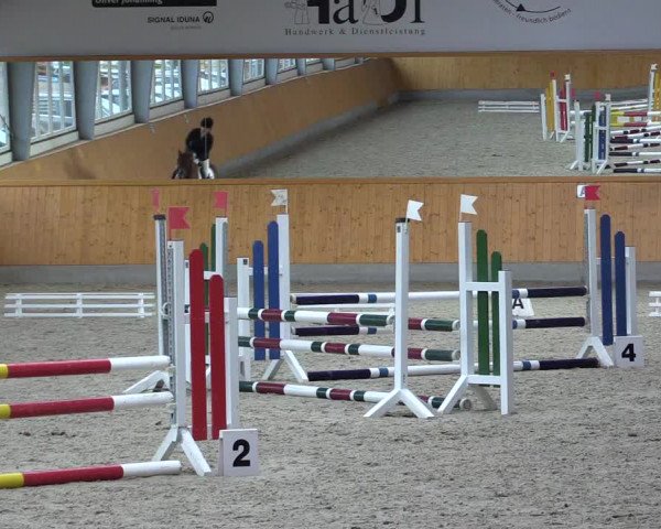 Reitturnier Münster-Amelsbüren 2021