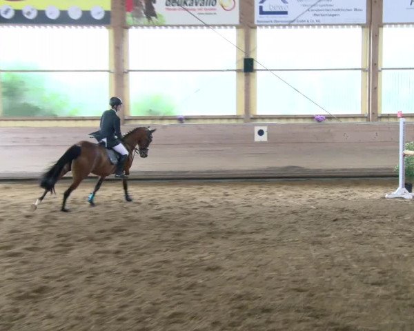 Reitturnier Biberach/Riß 2021