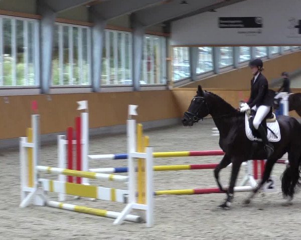 Reitturnier Münster-Amelsbüren 2021